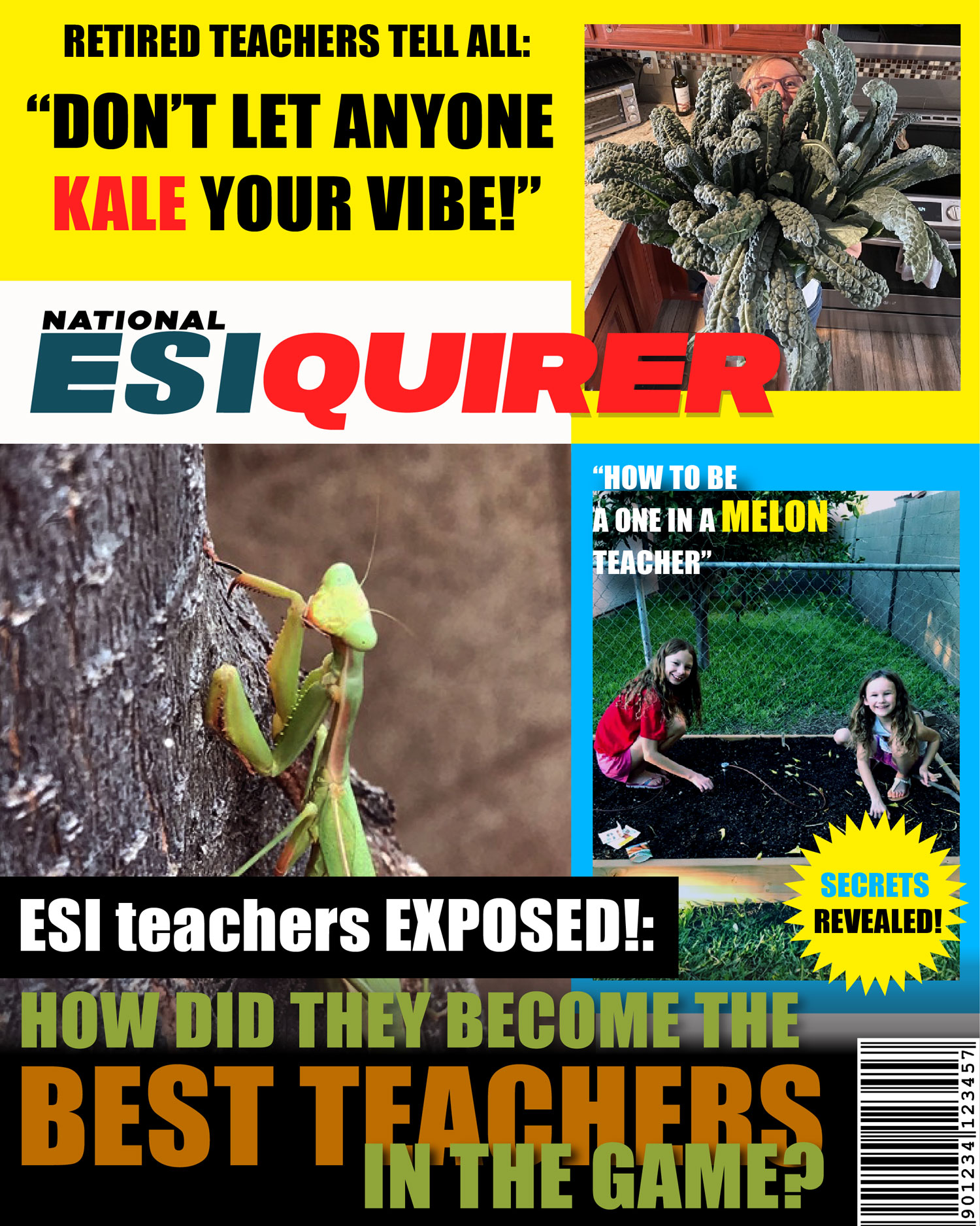 ESI magazine cover
